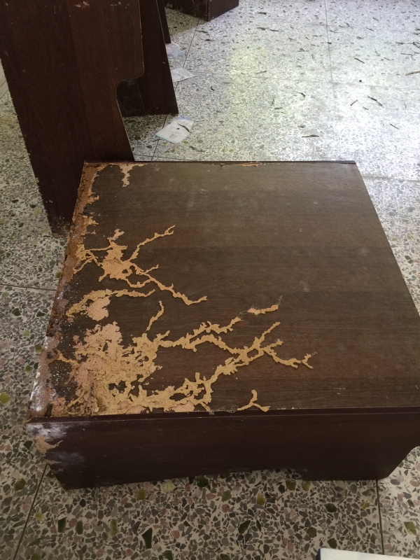 学校