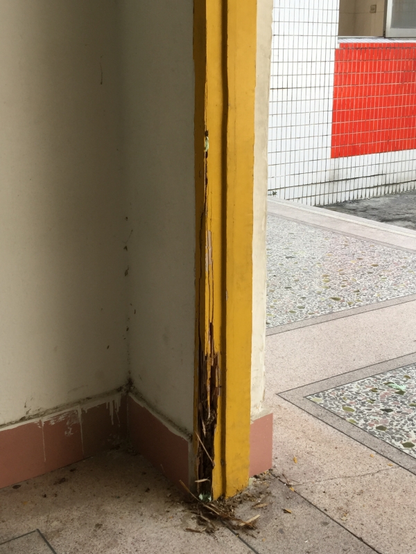学校