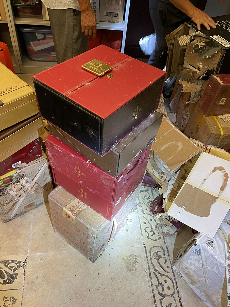 白蚁巢穴